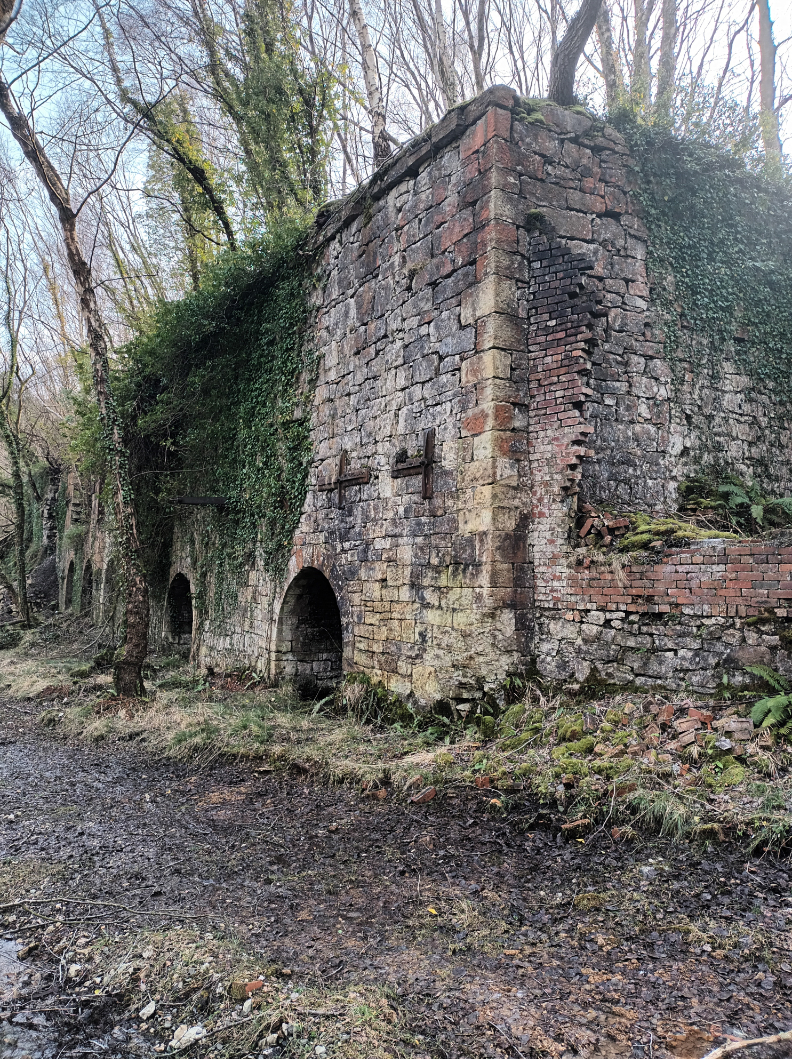 Clywedog Valley Project